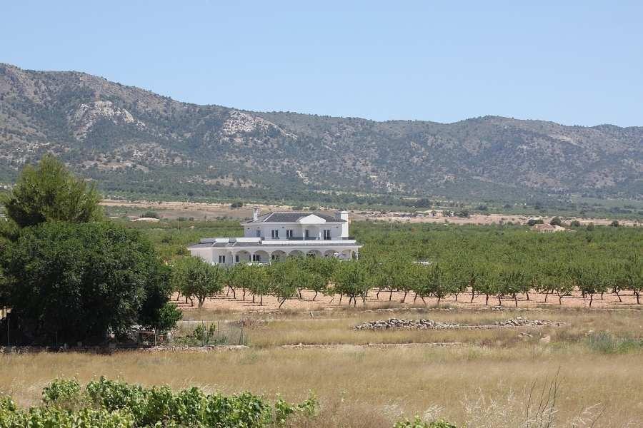 For sale - 4 Bedroom 3 Bathroom Villa in Pinoso - Camino Del Prado  - Alicante