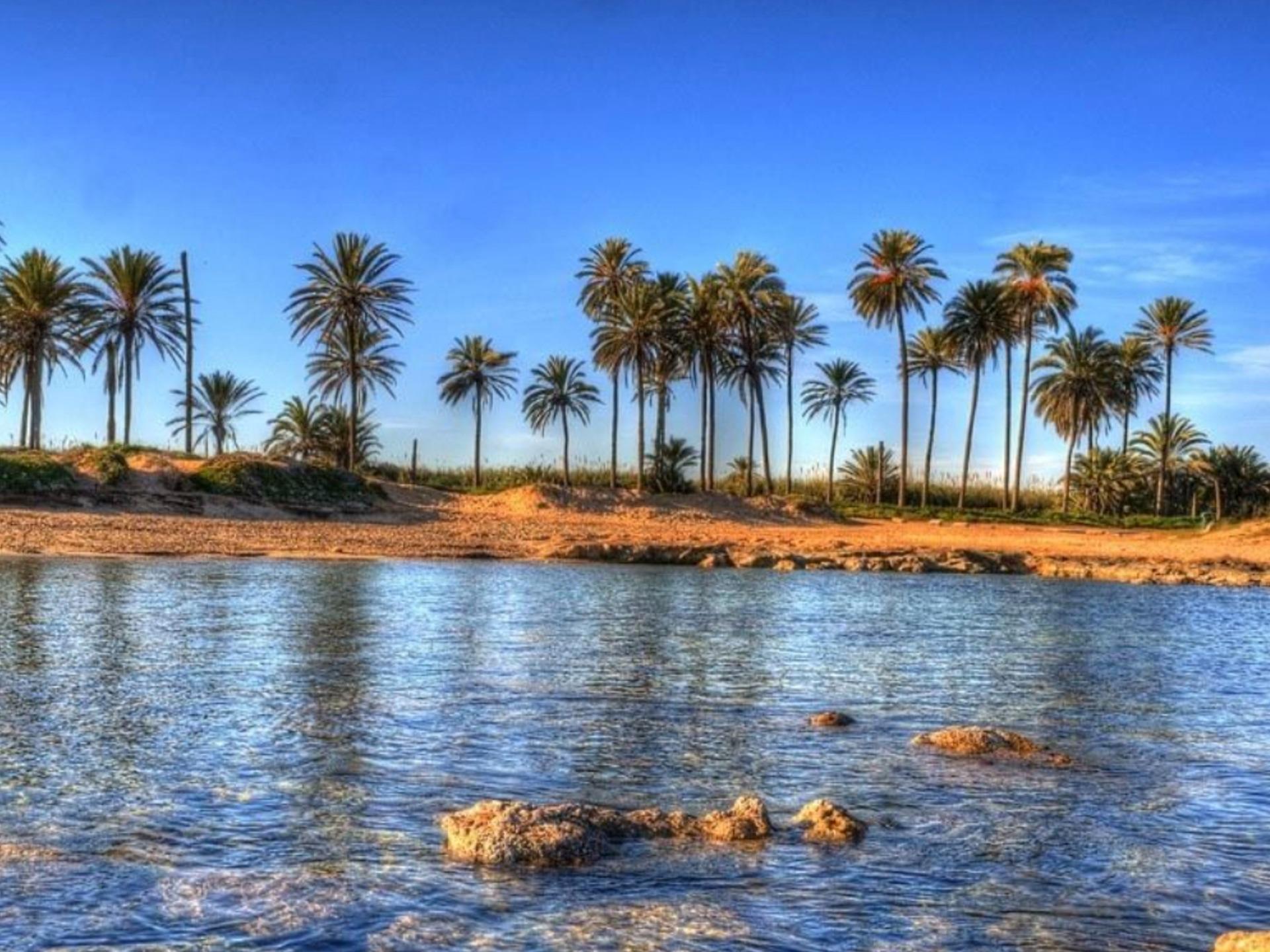 For sale - 2 Bedroom 2 Bathroom Apartment in Torrevieja - Playa Del Cura  - Alicante