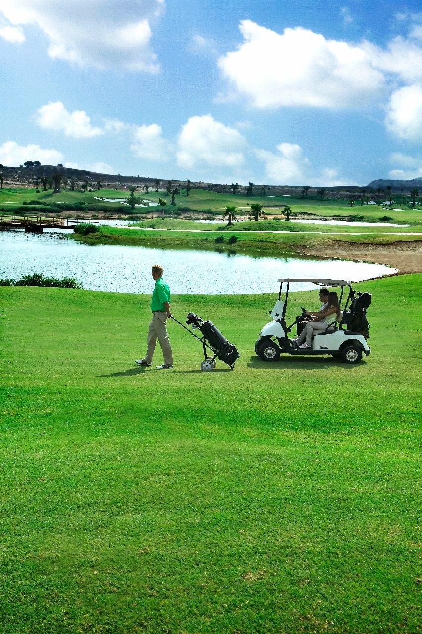 For sale - 4 Bedroom 3 Bathroom Villa in Orihuela - Vistabella Golf  - Alicante