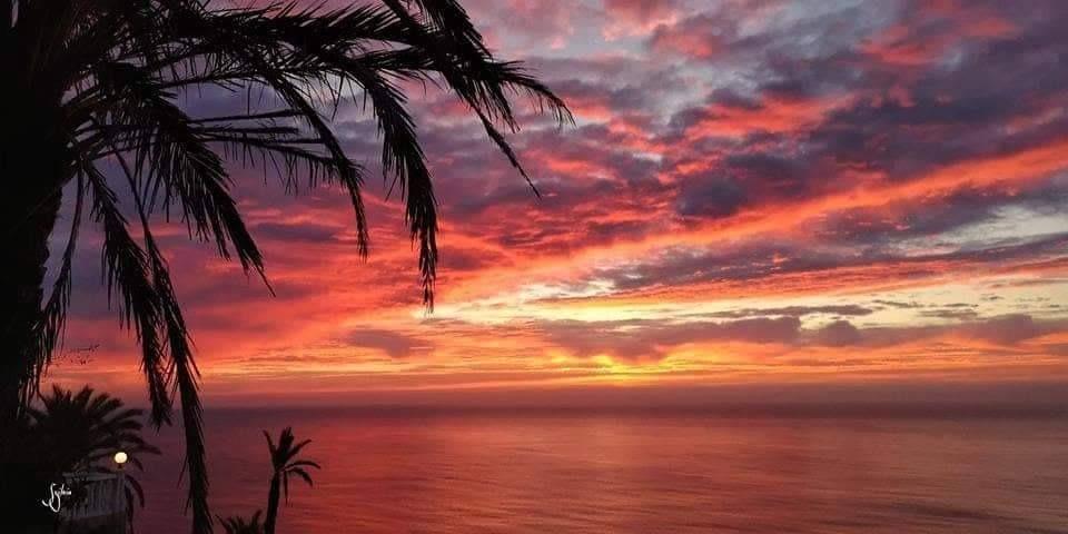 For sale - 3 Bedroom 2 Bathroom Bungalow in Torrevieja - Altos del Sol  - Alicante