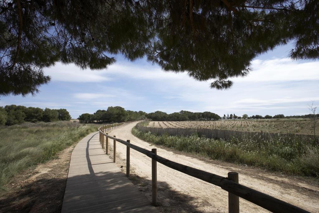 For sale - 2 Bedroom 2 Bathroom Bungalow in Torrevieja - Altos del Sol  - Alicante