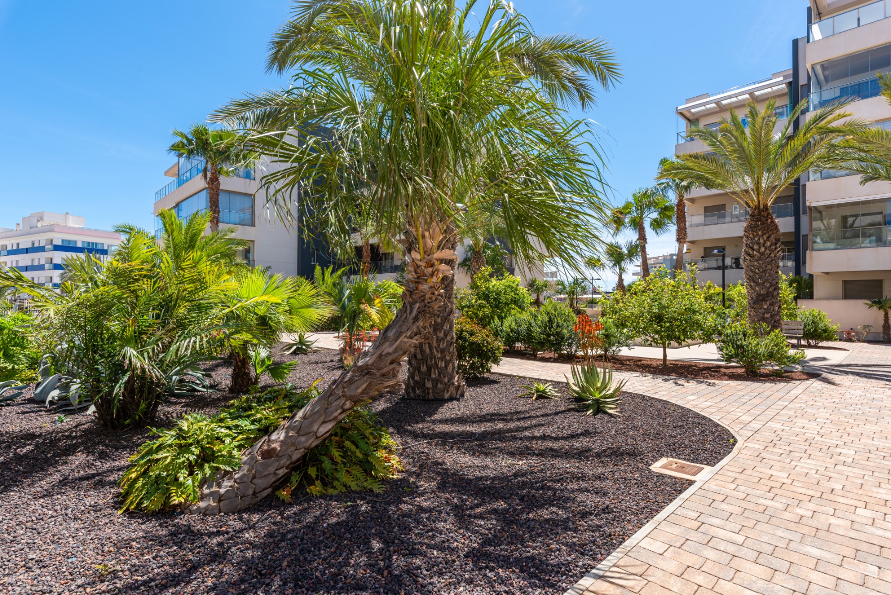 For sale - 3 Bedroom 2 Bathroom Apartment in Orihuela Costa - Los Dolses  - Alicante