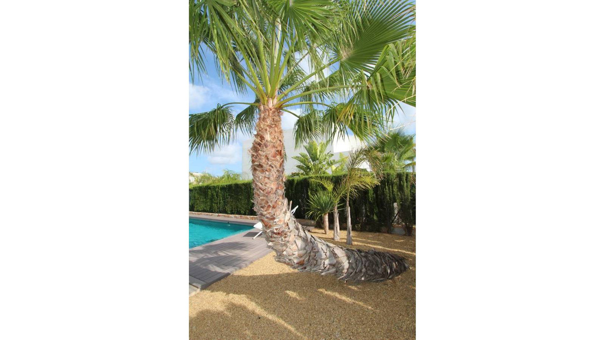 For sale - 3 Bedroom 3 Bathroom House - Detached Villa in Rojales - Ciudad Quesada  - Alicante