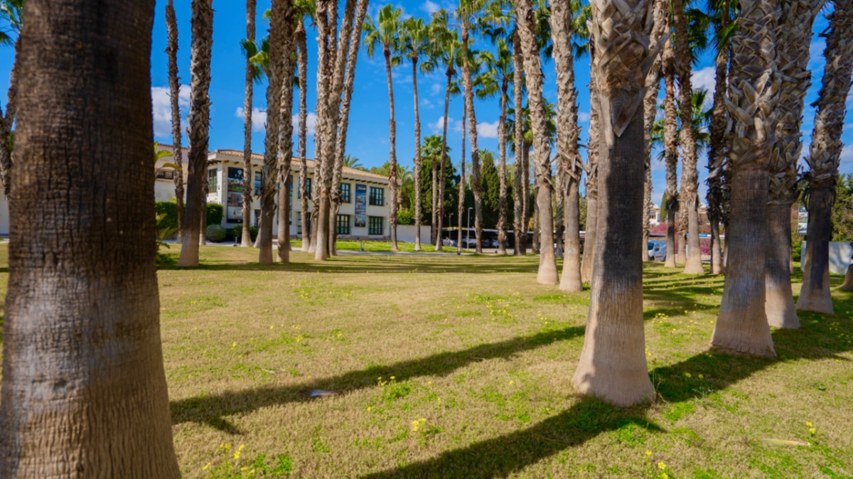 For sale - 1 Bedroom 1 Bathroom Apartment - Ground Floor Apartment in Orihuela - Orihuela Centro  - Alicante