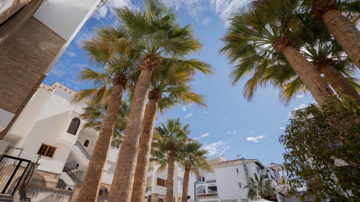 For sale - 1 Bedroom 1 Bathroom Apartment - Ground Floor Apartment in Orihuela - Orihuela Centro  - Alicante