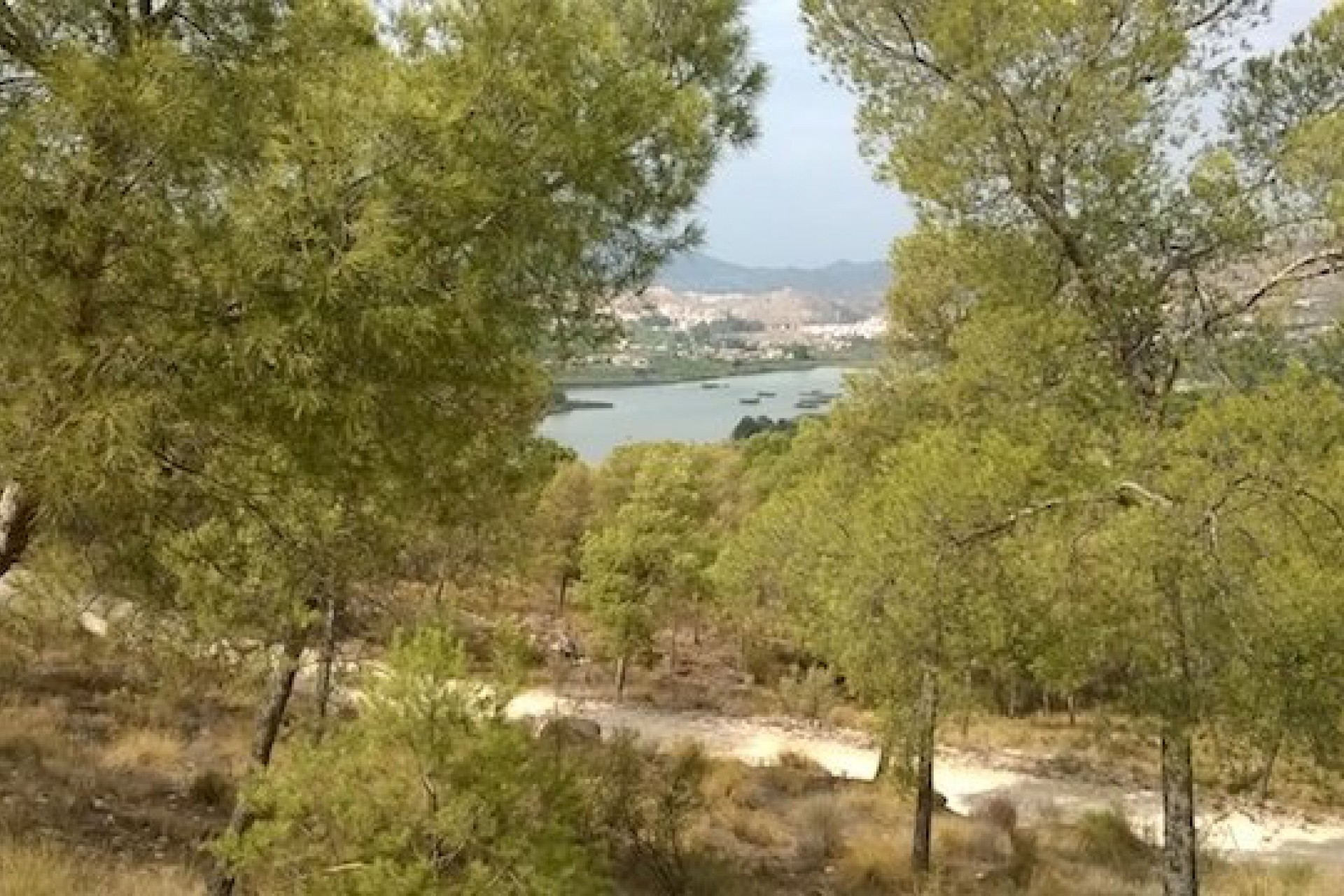 For sale - 4 Bedroom 2 Bathroom Semi-Detached in Murcia - Murcia  - Murcia