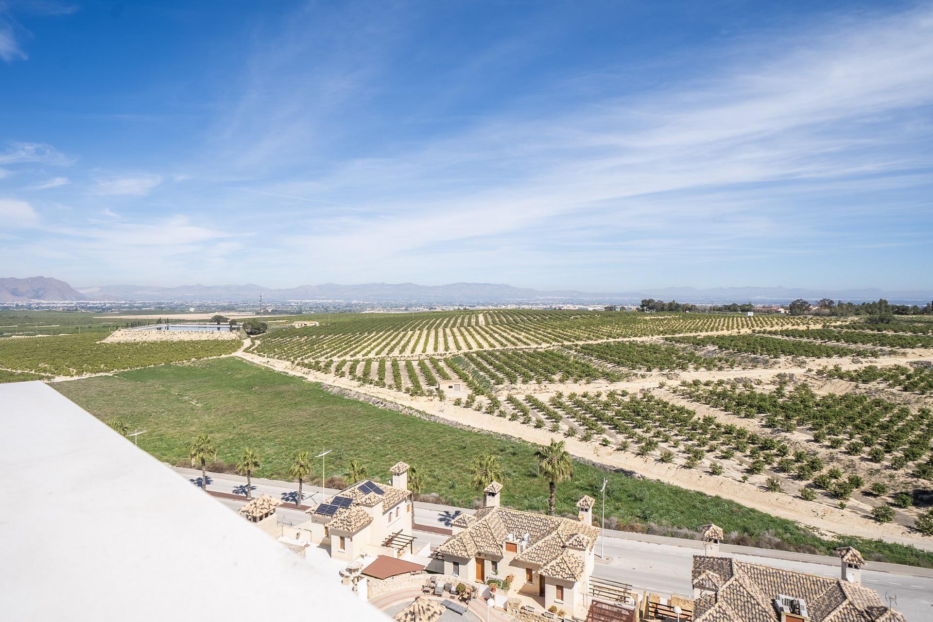For sale - 3 Bedroom 2 Bathroom Villa in Algorfa - La Finca Golf  - Alicante