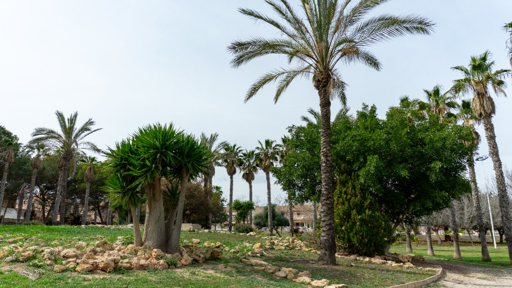 For sale - 2 Bedroom 2 Bathroom Villa in Los Altos - Los Altos  - Alicante