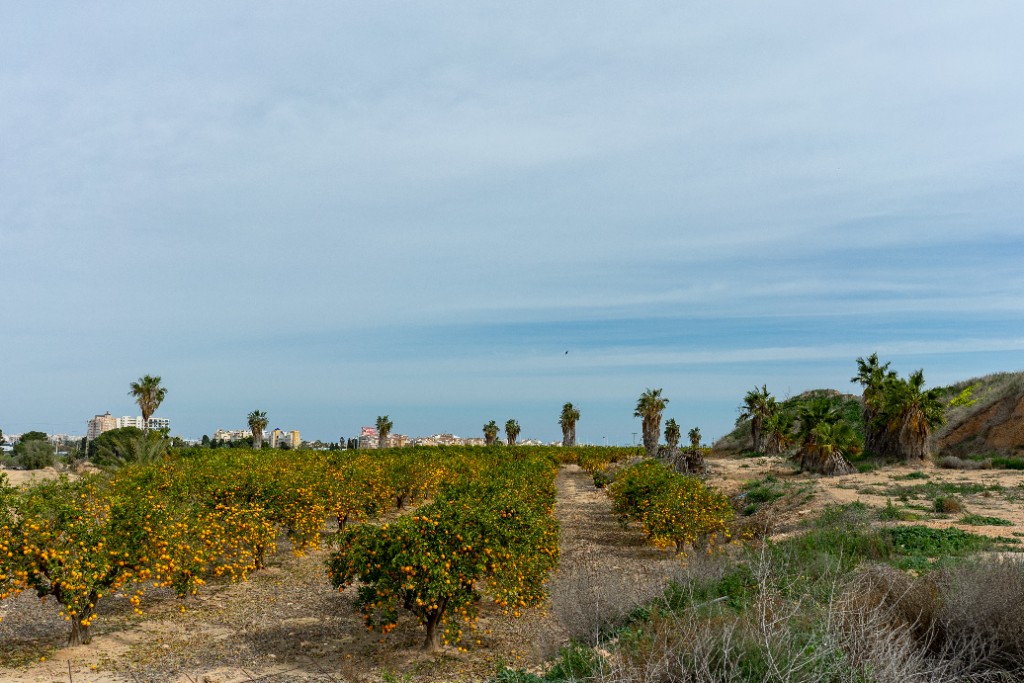 For sale - 2 Bedroom 2 Bathroom Villa in Los Altos - Los Altos  - Alicante