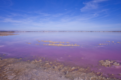 For sale - 2 Bedroom 2 Bathroom Villa in Los Altos - Los Altos  - Alicante