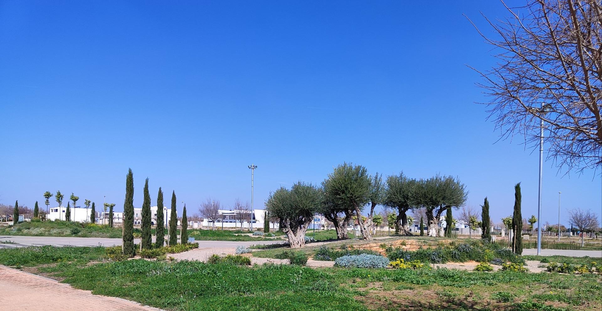 New Build - 2 Bedroom 2 Bathroom Penthouse in Torre Pacheco - Centro  - Murcia