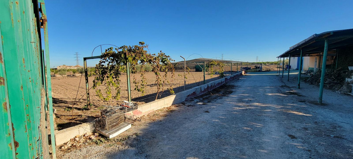 For sale - 1 Bedroom 1 Bathroom House - Finca - Cortijo in San Miguel de Salinas - San Miguel de Salinas Centro  - Alicante