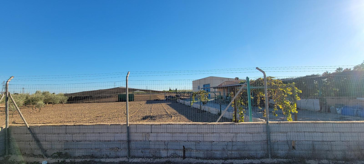 For sale - 1 Bedroom 1 Bathroom House - Finca - Cortijo in San Miguel de Salinas - San Miguel de Salinas Centro  - Alicante