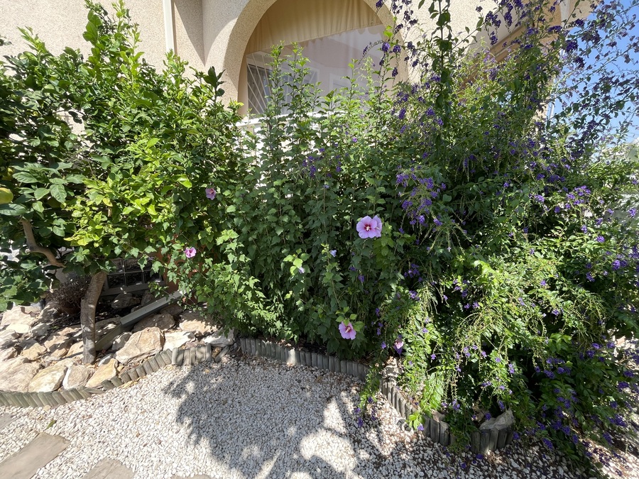 Sold - SOLD! 4 Bedroom 3 Bathroom Villa in Ciudad Quesada - , Ciudad Quesada, Alicante, Spain - Alicante