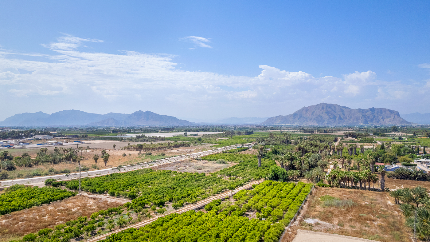 New Build - 3 Bedroom 2 Bathroom Top Floor Apartment in Jacarilla - pueblo  - Alicante