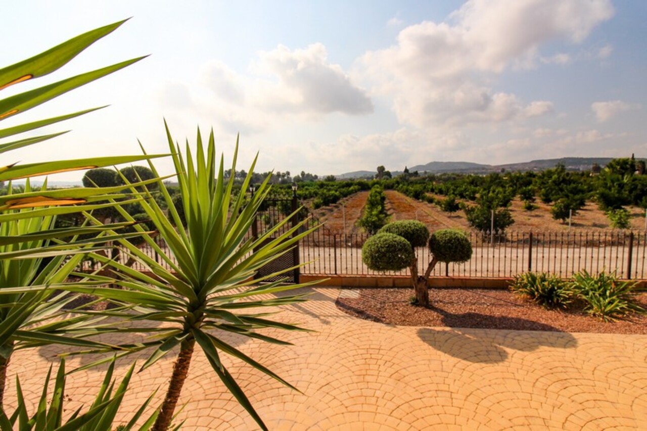 For sale - 4 Bedroom 2 Bathroom Villa in Bigastro - , Bigastro, Alicante, Spain - Alicante