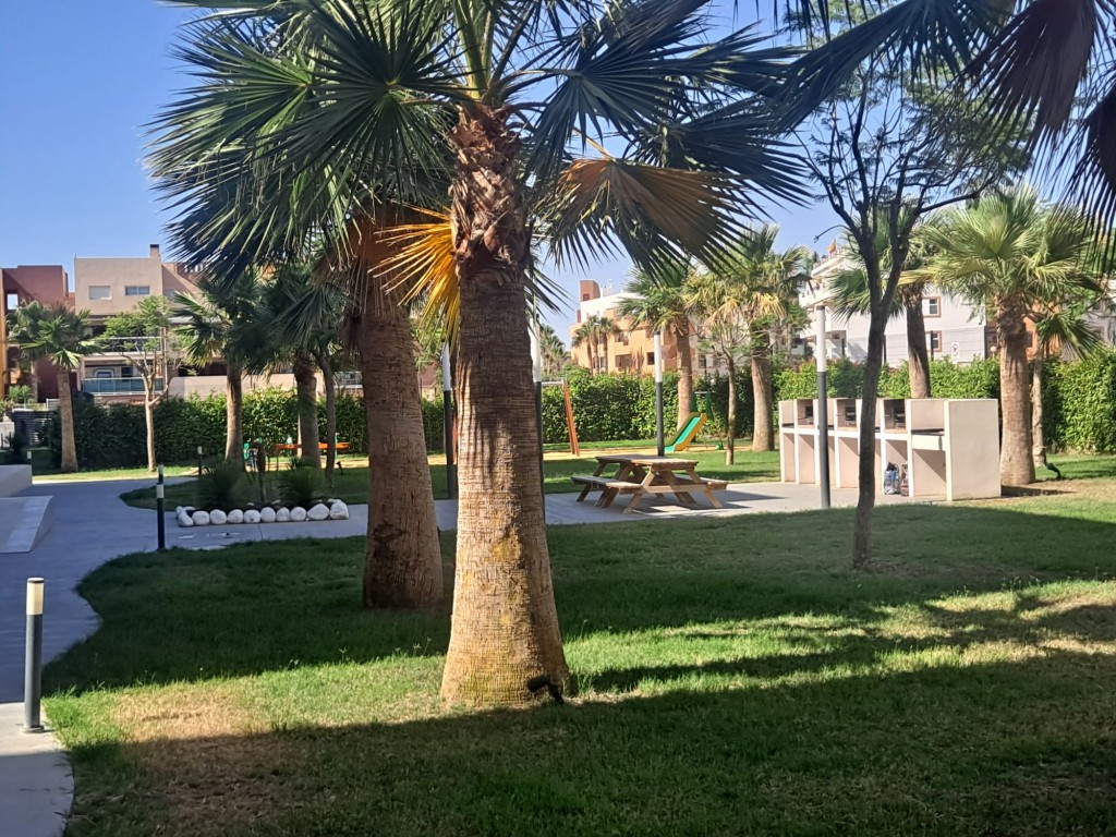 For sale - 2 Bedroom 2 Bathroom Apartment in Playa Flamenca - Costa Blanca  - Alicante