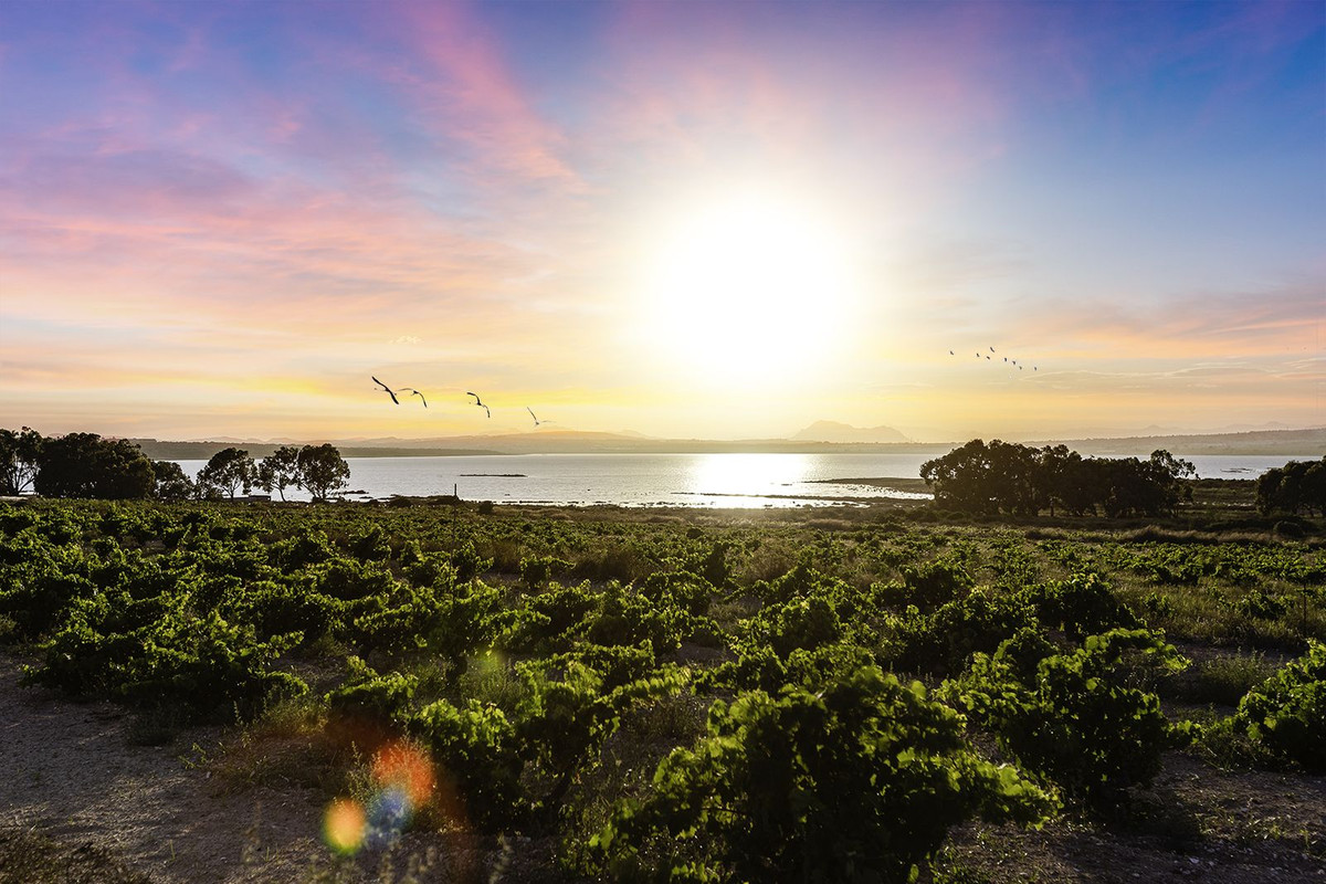 For sale - 4 Bedroom 4 Bathroom House - Detached Villa in Rojales - Ciudad Quesada  - Alicante