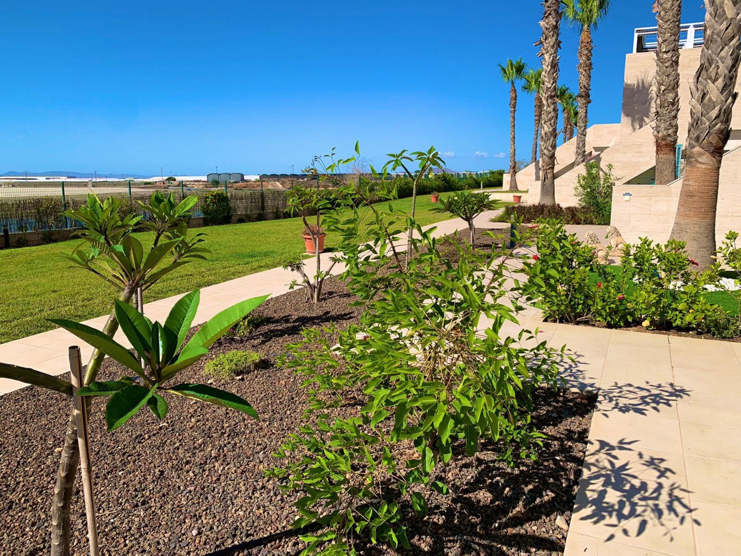 For sale - 2 Bedroom 2 Bathroom Penthouse in Pilar de La Horadada - Costa Blanca  - Alicante