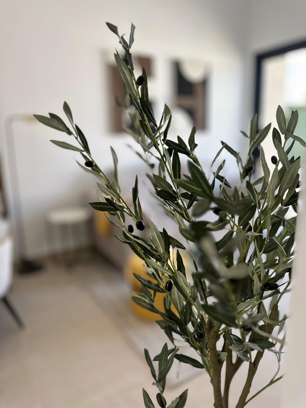 For sale - 3 Bedroom 2 Bathroom Ground Floor apartment in San Fulgencio - Pueblo  - Alicante