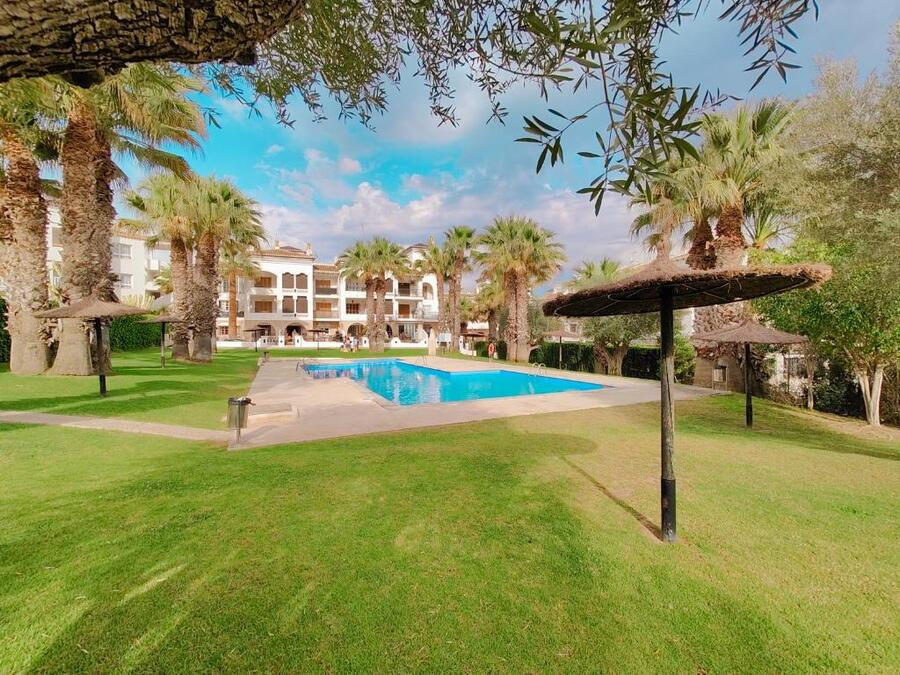 1 Bedroom 1 Bathroom Apartment in Villamartin