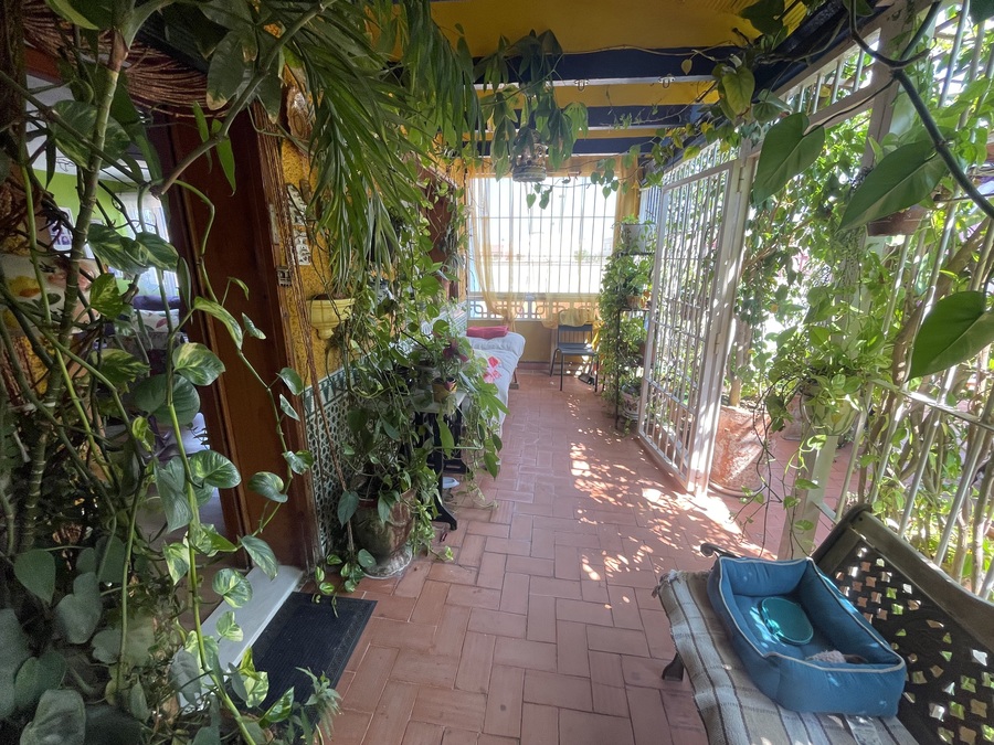 For sale - 3 Bedroom 3 Bathroom Casa de Pueblo in Rojales - , Rojales, Alicante, Spain - Alicante