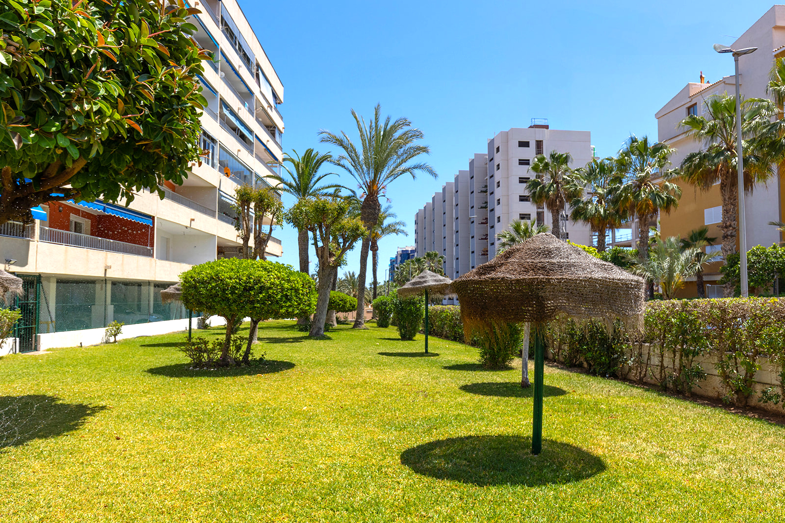 For sale - 1 Bedroom 1 Bathroom Apartment in Punta Prima - Rocio del Mar  - Alicante