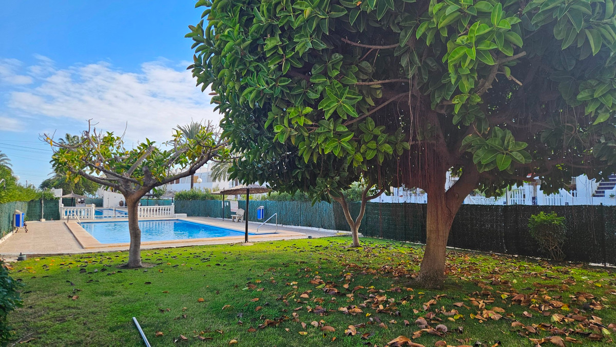 For sale - 1 Bedroom 1 Bathroom Apartment - Ground Floor Apartment in Torrevieja - Torrevieja Centro  - Alicante