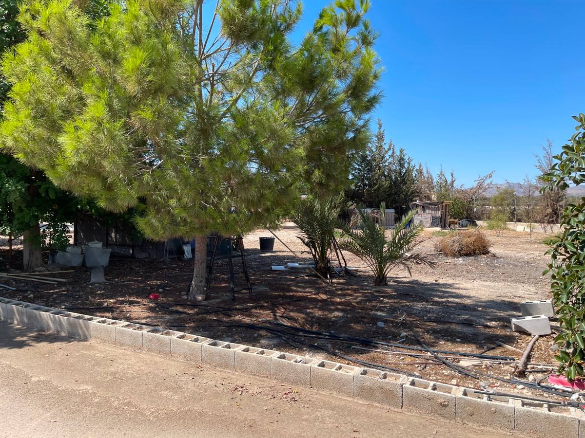 For sale - 3 Bedroom 1 Bathroom House - Detached Villa in Crevillente - Crevillent - Crevillente - Crevillent Centro  - Alicante