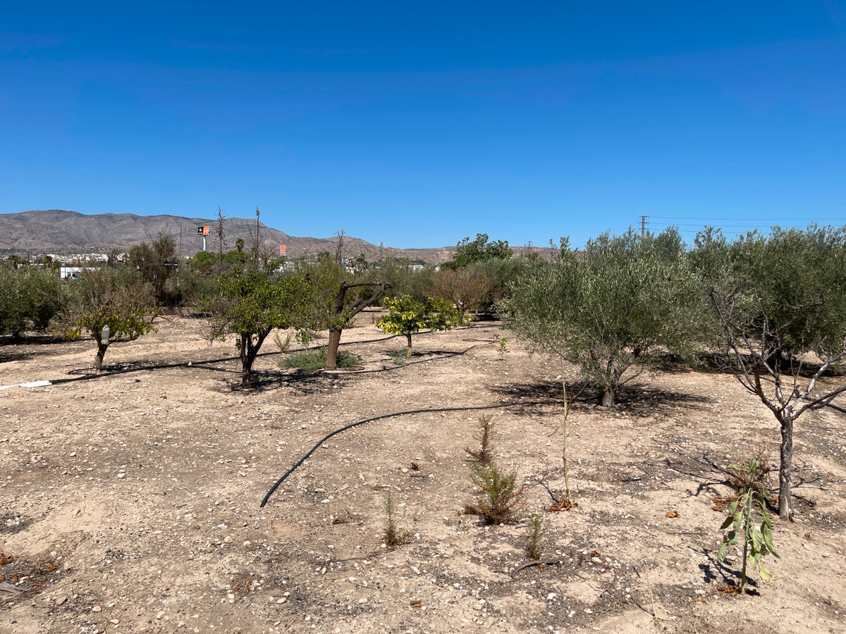 For sale - 3 Bedroom 1 Bathroom House - Detached Villa in Crevillente - Crevillent - Crevillente - Crevillent Centro  - Alicante