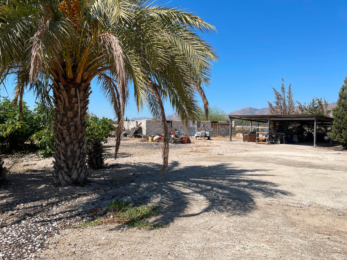 For sale - 3 Bedroom 1 Bathroom House - Detached Villa in Crevillente - Crevillent - Crevillente - Crevillent Centro  - Alicante