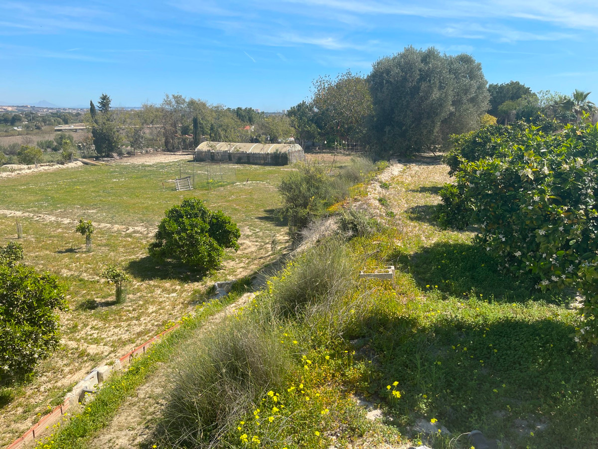 For sale - 3 Bedroom 2 Bathroom House - Detached Villa in Guardamar del Segura - Guardamar del Segura Centro  - Alicante