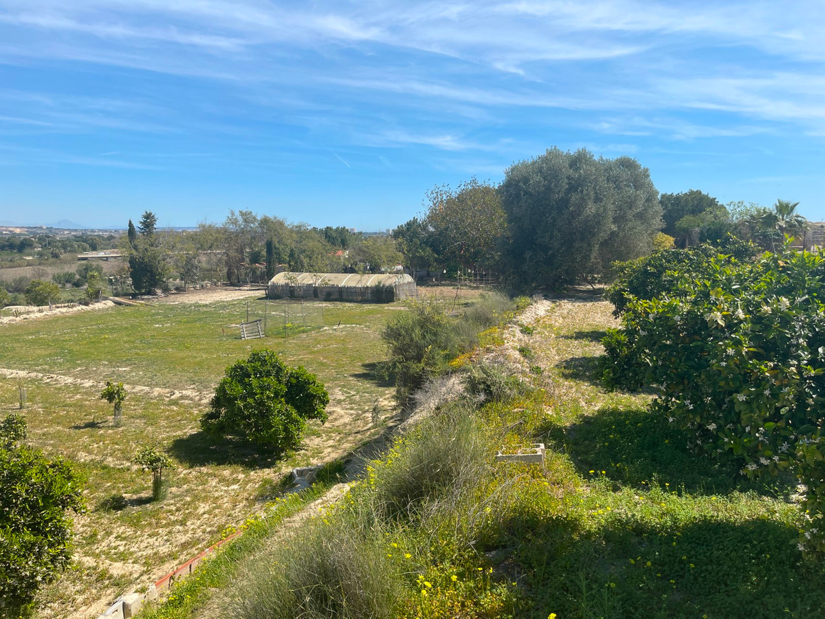 For sale - 3 Bedroom 2 Bathroom House - Detached Villa in Guardamar del Segura - Guardamar del Segura Centro  - Alicante