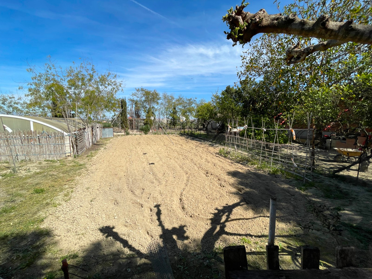 For sale - 3 Bedroom 2 Bathroom House - Detached Villa in Guardamar del Segura - Guardamar del Segura Centro  - Alicante