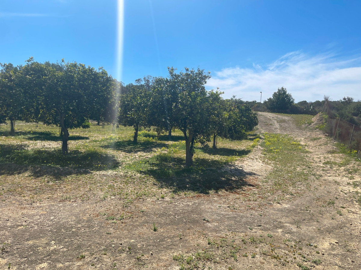 For sale - 3 Bedroom 2 Bathroom House - Detached Villa in Guardamar del Segura - Guardamar del Segura Centro  - Alicante