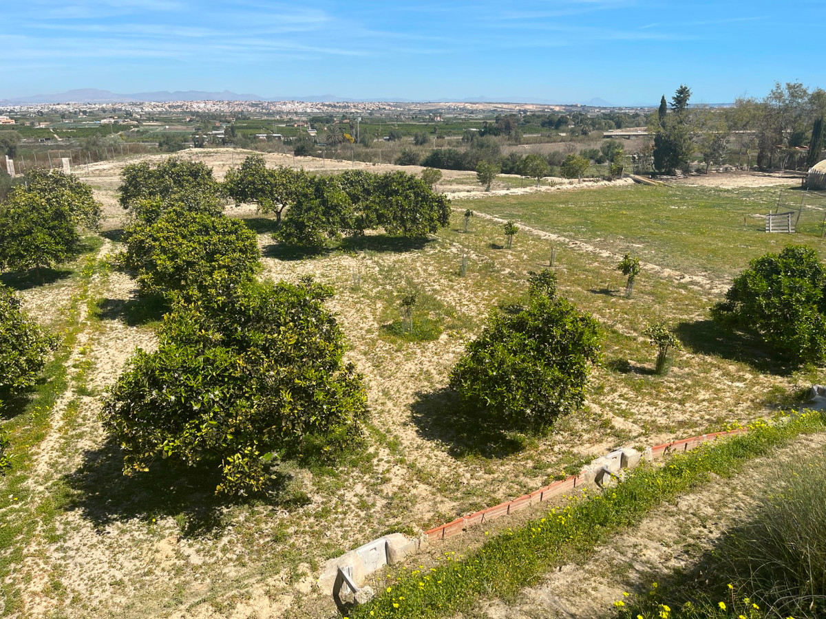 For sale - 3 Bedroom 2 Bathroom House - Detached Villa in Guardamar del Segura - Guardamar del Segura Centro  - Alicante
