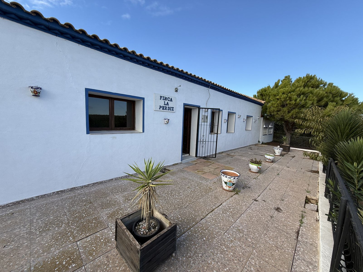 For sale - 4 Bedroom 2 Bathroom House - Finca - Cortijo in Pilar de la Horadada - Pinar de Campoverde  - Alicante