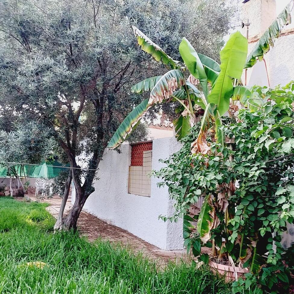 For sale - 4 Bedroom 2 Bathroom Villa in Punta Prima  - Punta Prima  - Alicante
