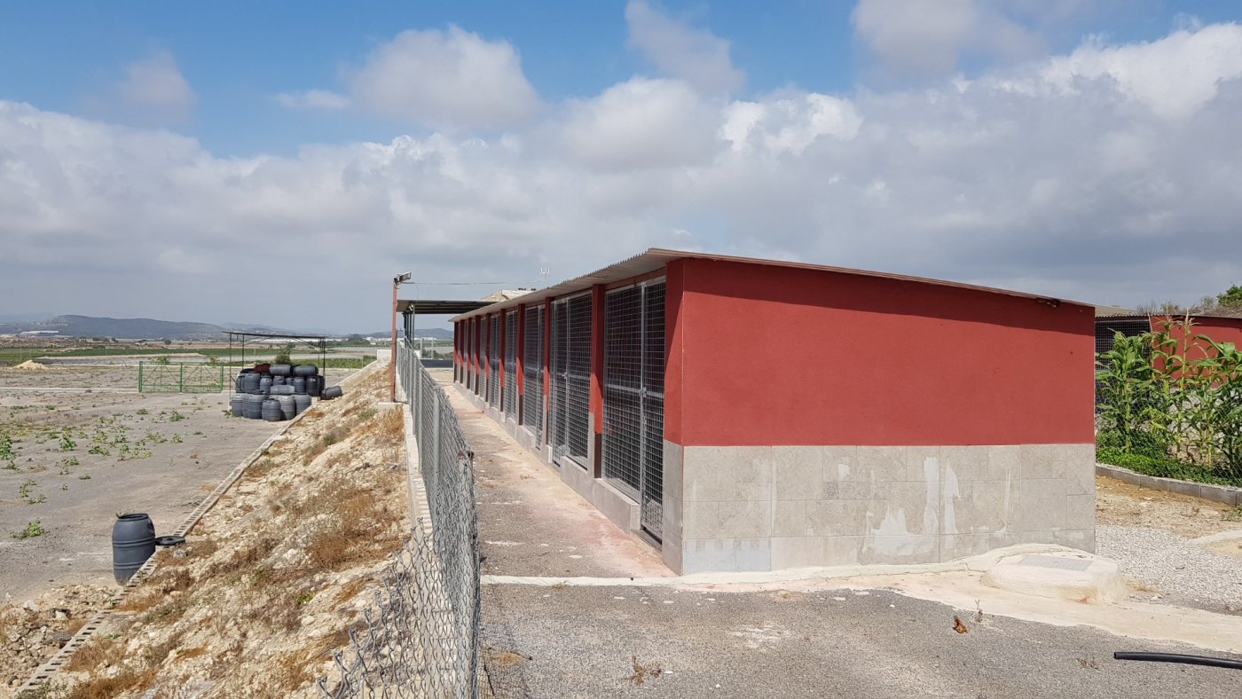 For sale - 2 Bedroom 2 Bathroom Finca in Los Montesinos - Los Montesinos  - Alicante