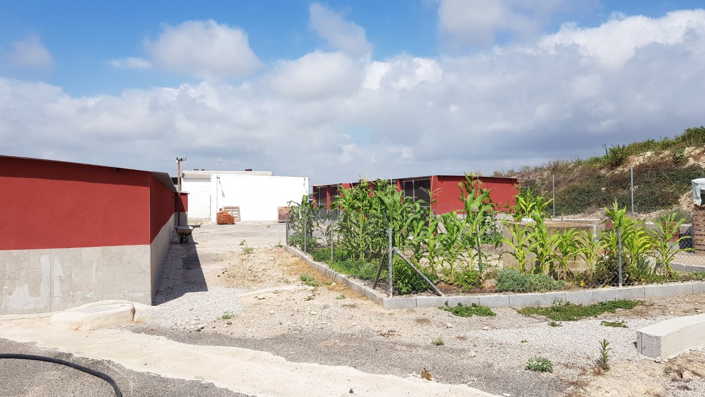 For sale - 2 Bedroom 2 Bathroom Finca in Los Montesinos - Los Montesinos  - Alicante