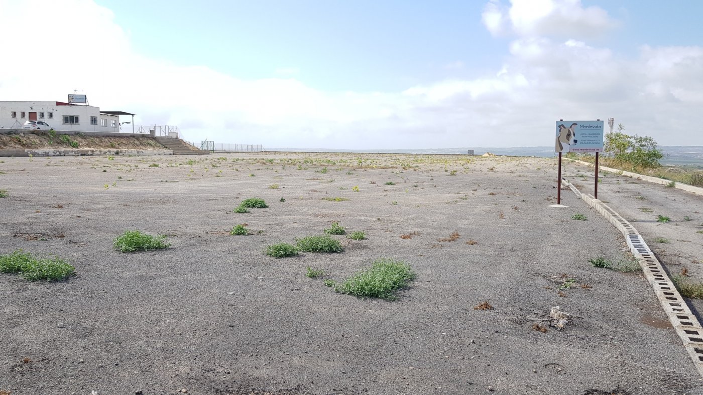 For sale - 2 Bedroom 2 Bathroom Finca in Los Montesinos - Los Montesinos  - Alicante