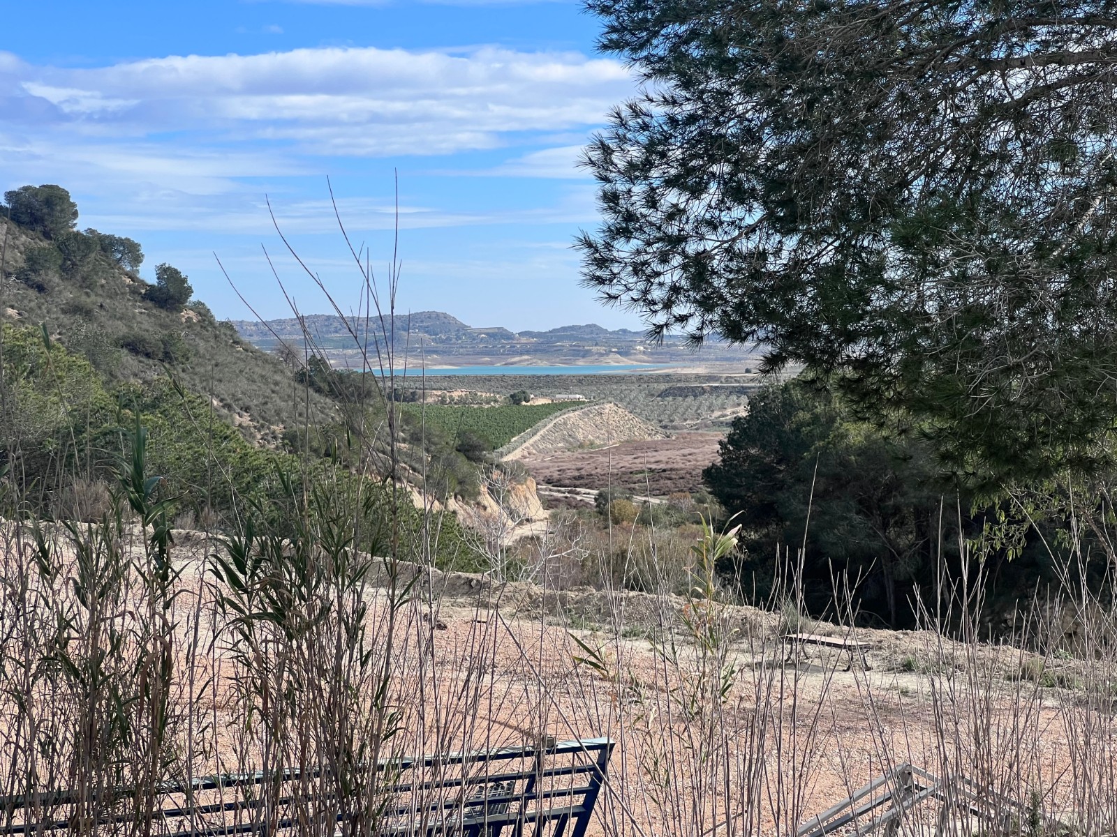 For sale - 2 Bedroom 1 Bathroom Country Property/Finca in Torremendo - Torremendo  - Alicante