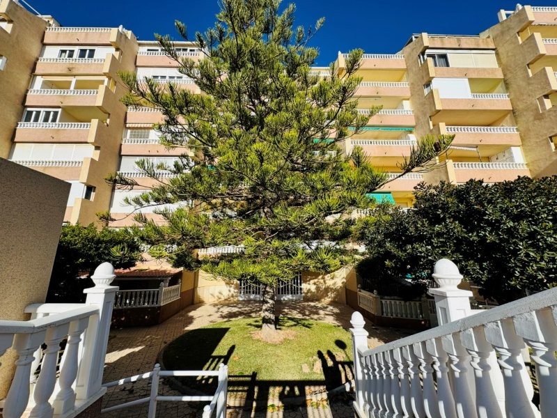 For sale - 3 Bedroom 2 Bathroom Penthouse in La Mata - Costa Blanca  - Alicante