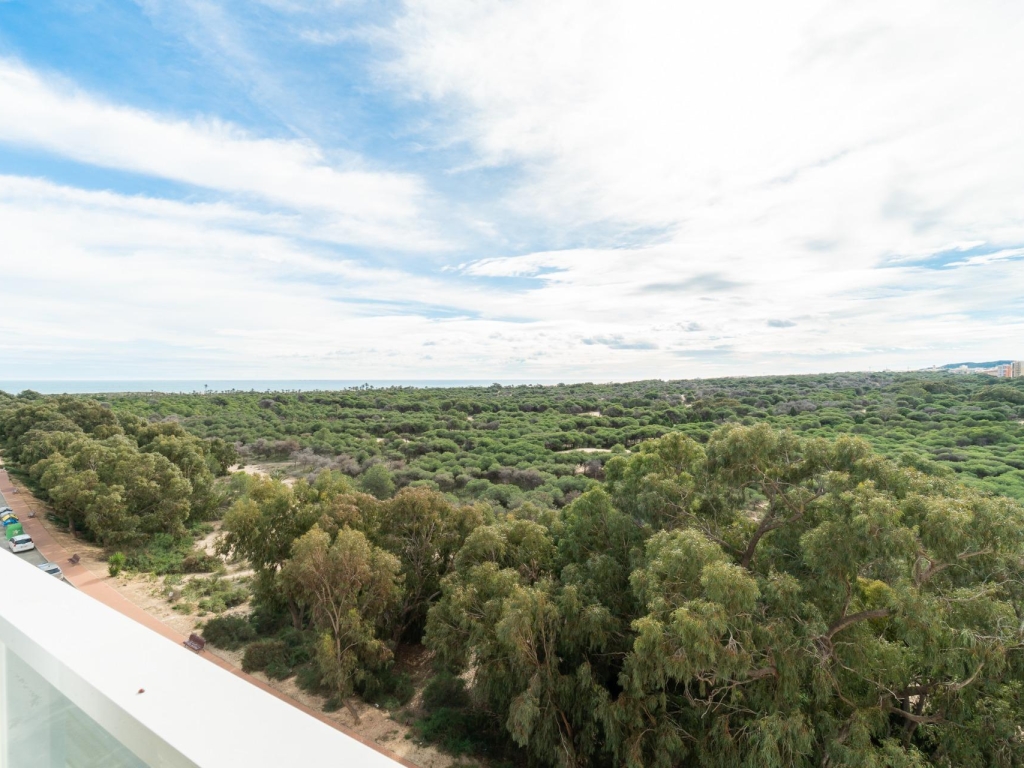 3 Bedroom 1 Bathroom Apartment in Guardamar del Segura