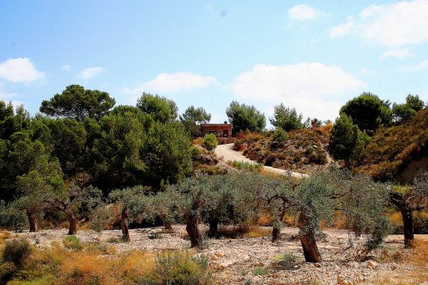 For sale - 3 Bedroom 2 Bathroom Country House in Murcia - Murcia  - Murcia