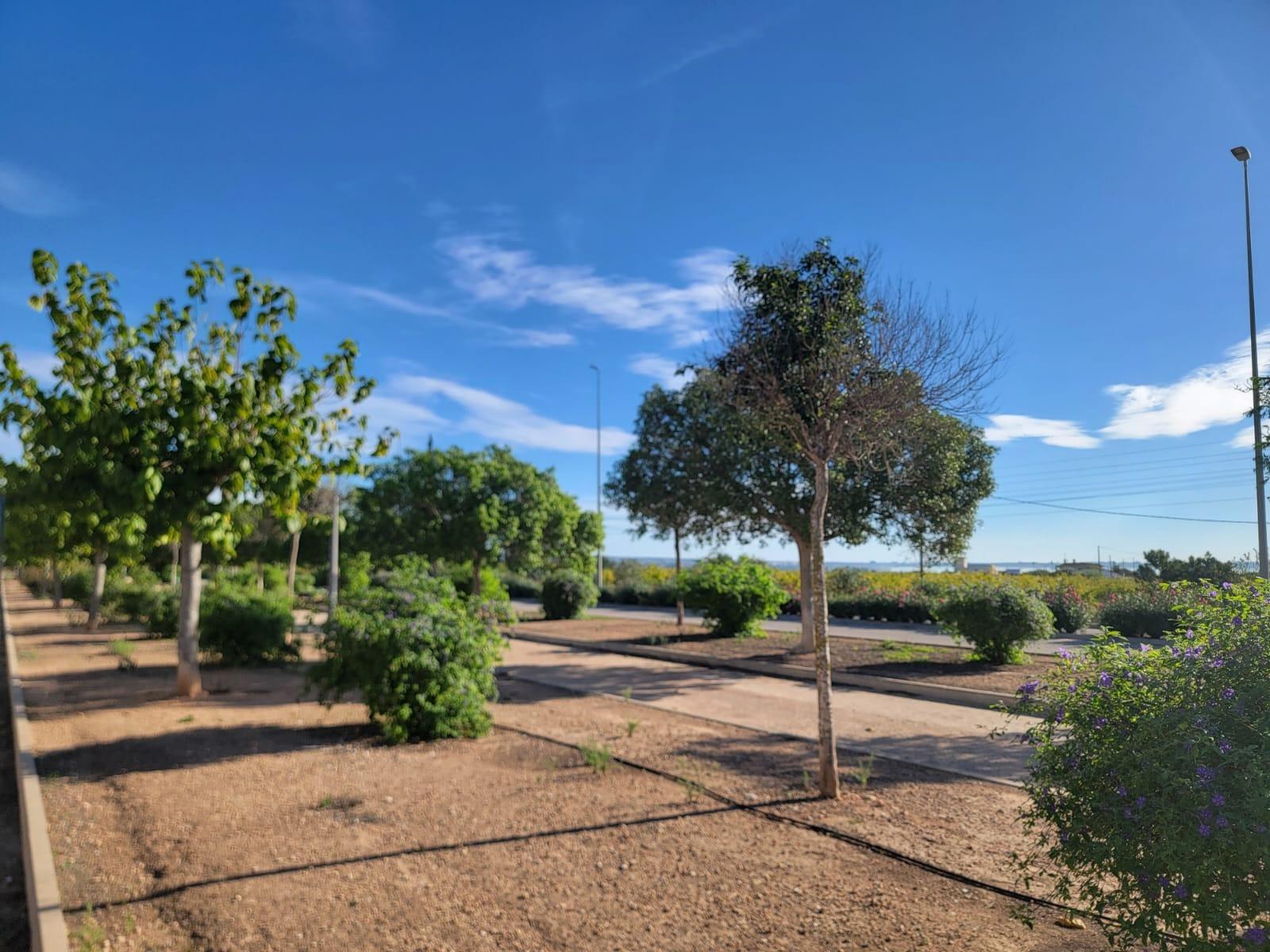 For sale - 3 Bedroom 1 Bathroom Town House in Los Montesinos - Los Montesinos - Urb. La Herrada  - Alicante