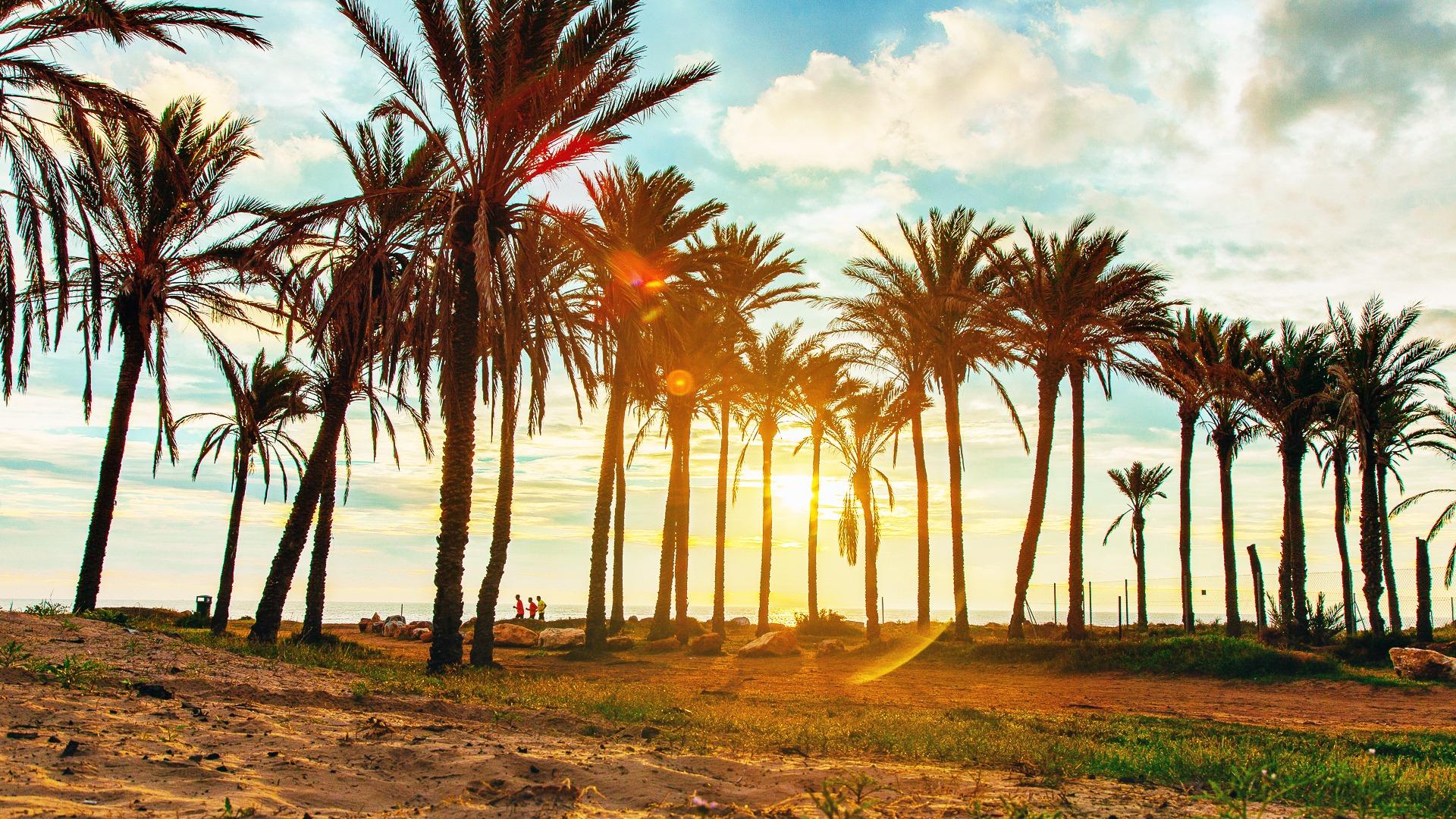 For sale - 2 Bedroom 2 Bathroom Apartment in Playa Flamenca - Orihuela Costa  - Alicante