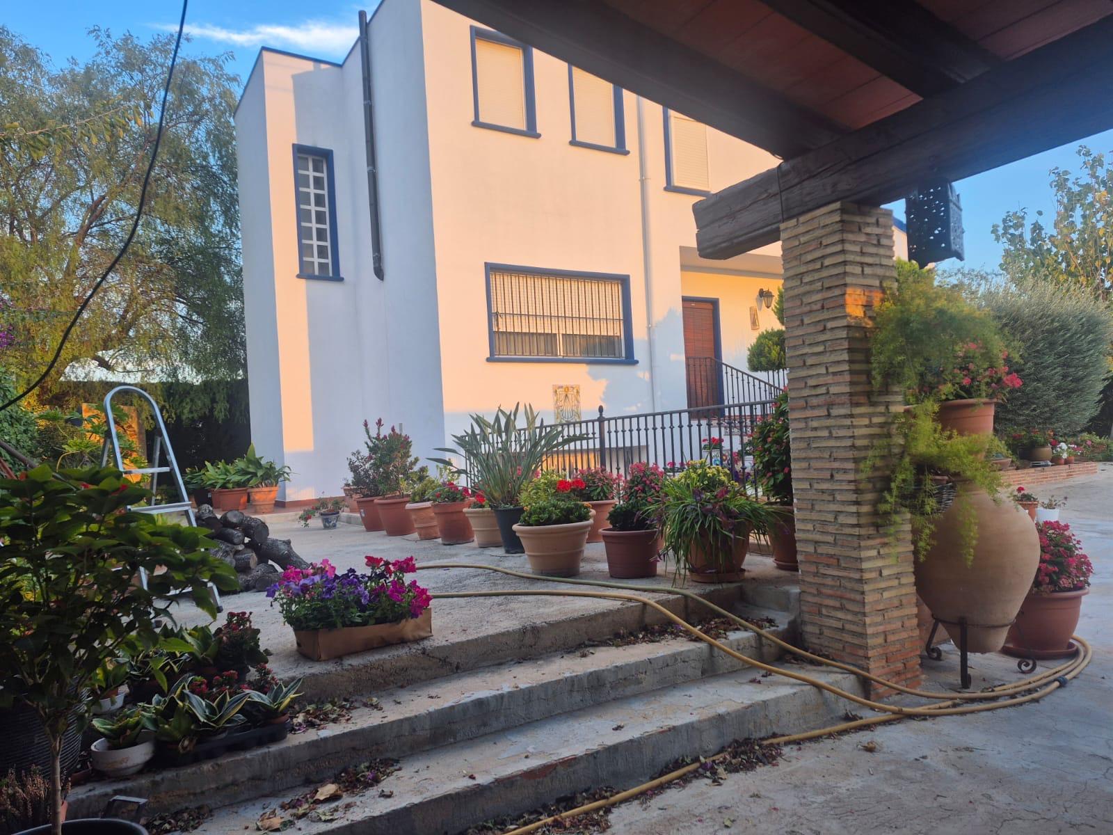 For sale - 3 Bedroom 2 Bathroom Finca in Orihuela - Casco Histórico  - Alicante