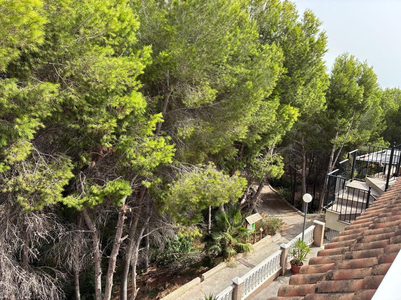 For sale - 2 Bedroom 1 Bathroom Apartment in Algorfa - Costa Blanca  - Alicante