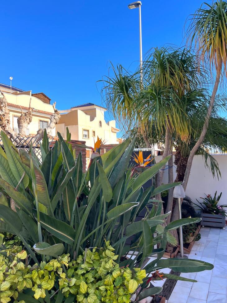 For sale - 4 Bedroom 2 Bathroom Semi Detached in Torre de La Horadada - Costa Blanca  - Alicante